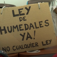 Video 6.png