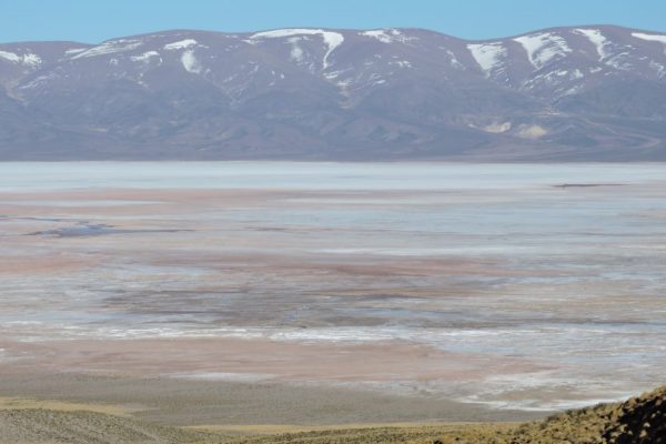 Se aprobó el proyecto UNSAM para un Observatorio Federal de Sostenibilidad Ambiental de Humedales